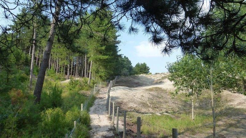 Hamac - Vue Mer - 100M Plage Berck Buitenkant foto