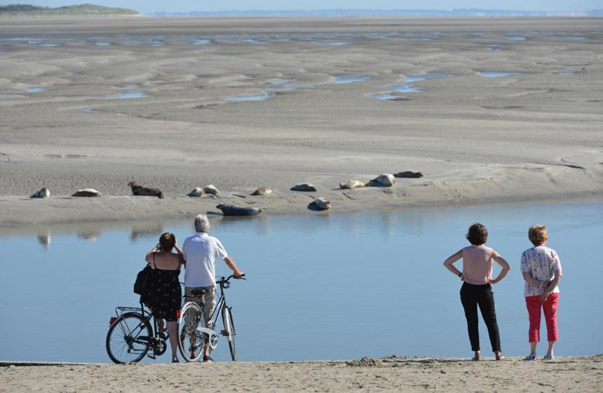 Hamac - Vue Mer - 100M Plage Berck Buitenkant foto